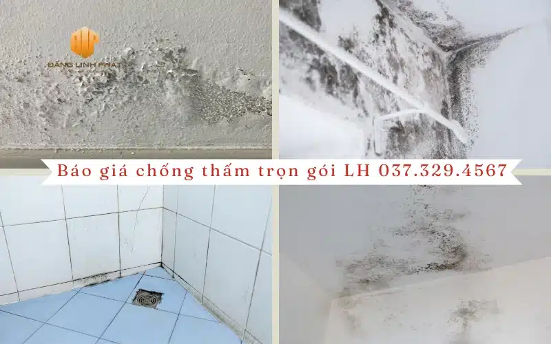 Hiện trạng nhà vệ sinh bị thấm nước và bong tróc tại Bình Dương