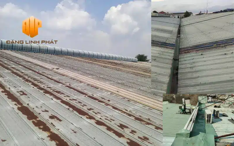 Mái tôn bị gỉ sét nghiêm trọng cần thay mới tại TP.HCM