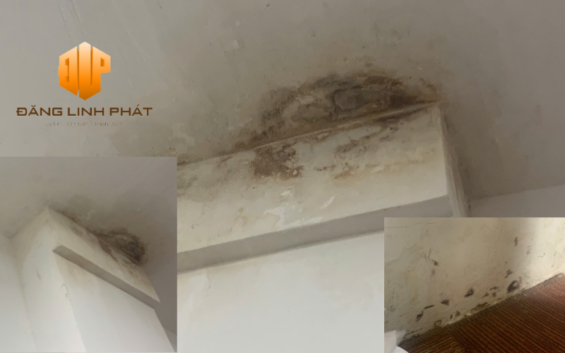 Thấm tường nhà làm ảnh hưởng đến thẩm mỹ của ngôi nhà